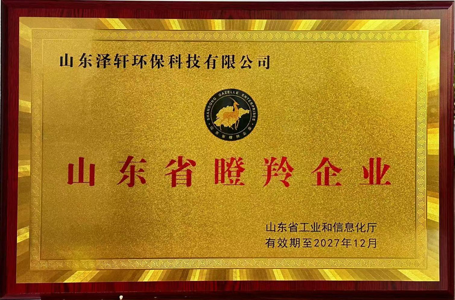 澤軒環(huán)保榮膺省級瞪羚企業(yè)，開啟高速發(fā)展新征程